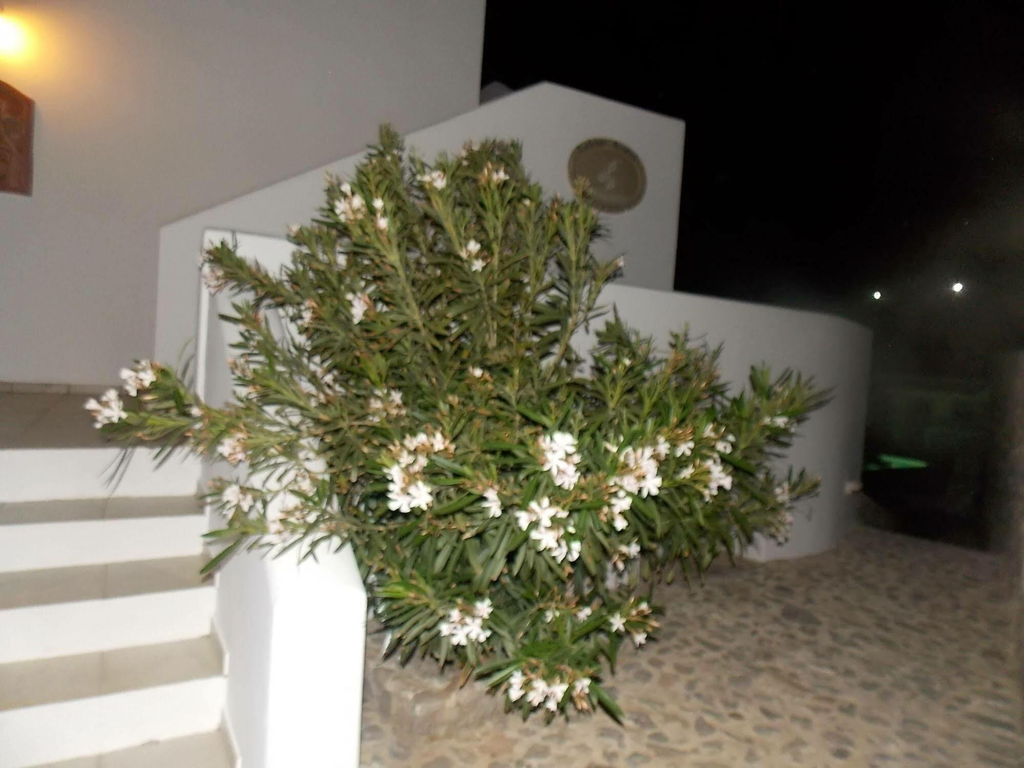 LavaRock Santorini Perissa  Dış mekan fotoğraf